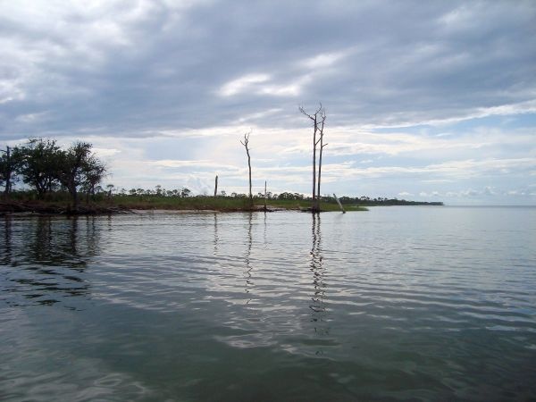 North side near Ocean Springs