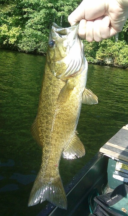 smallie