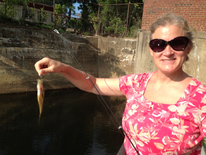 Blue Gill - Nashua River - By Margarita's