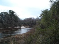 Leaf River